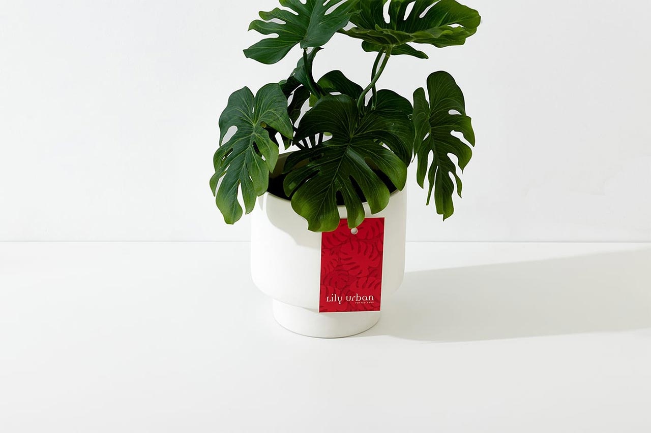 企業(yè)VI設(shè)計 企業(yè)VI設(shè)計